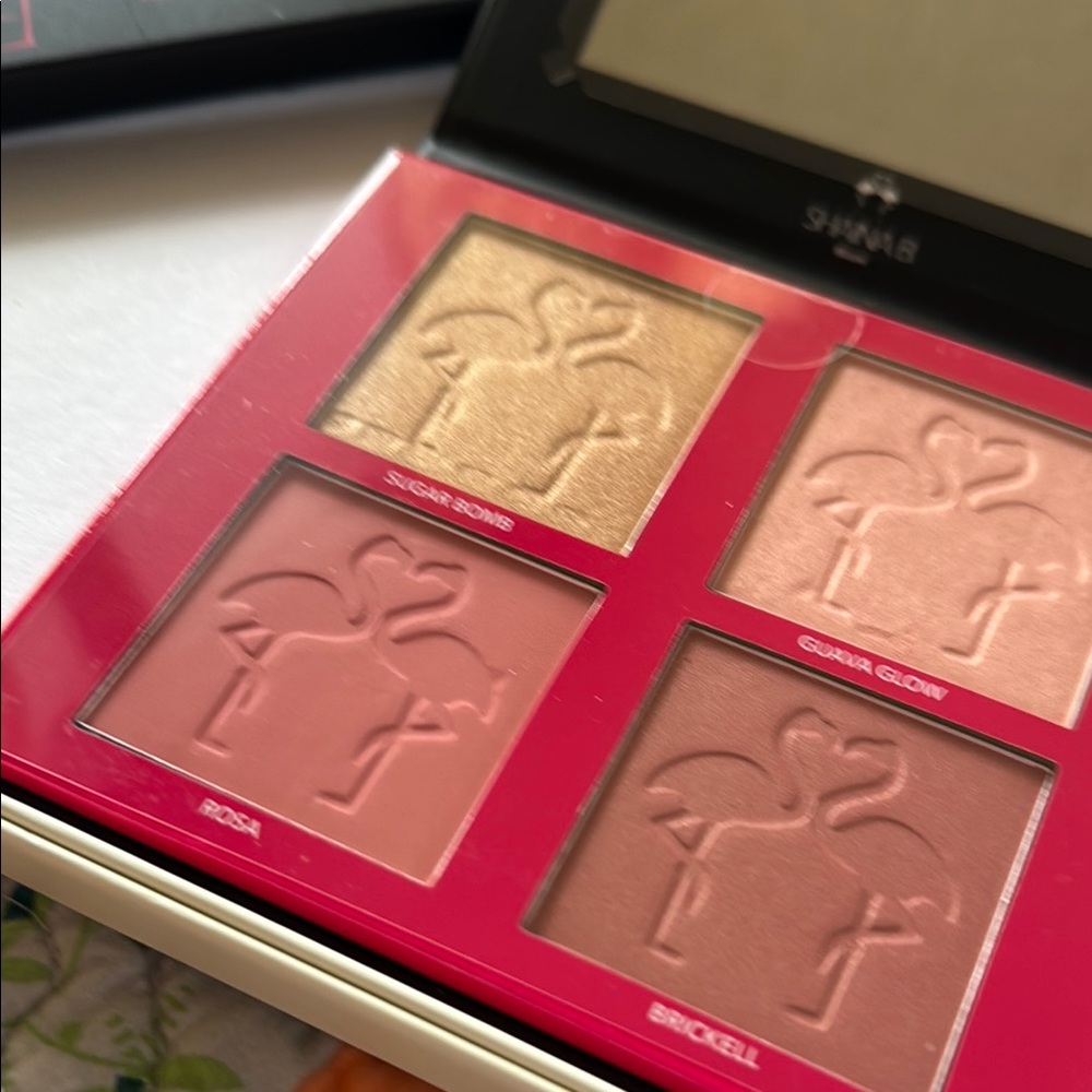 Shaina B.
MIAMI MINI PALETTE - BLUSH AND HIGHLIGHT - Picture 4 of 5